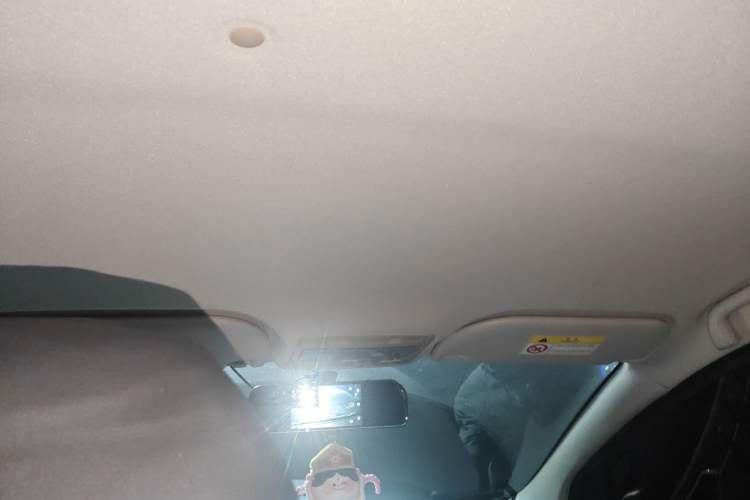 Used SOL E10X 2022 Flower Fairy Design Sunflower
