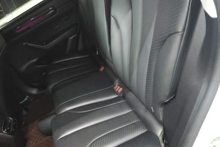 Used Leapmotor C11 2021 Luxury Edition Left Rear Seat