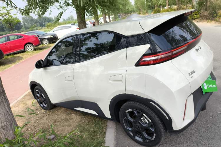 Used BYD Seagull 2025 305 km Free Version