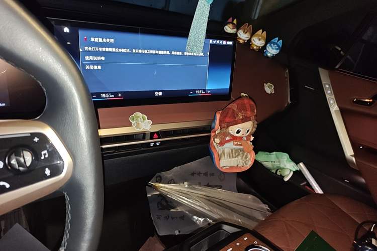 Used BMW iX 2022 xDrive50
