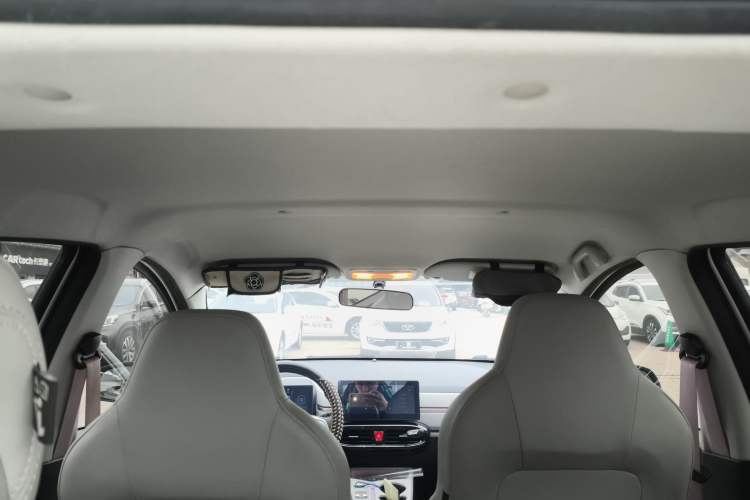 Used SOL E10X 2022 Flower Fairy Design Four-Leaf Clover Headliner