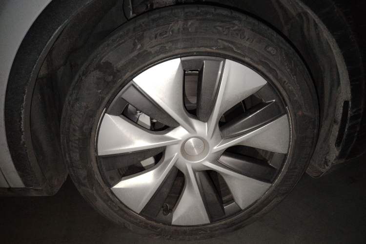 Used Tesla Model Y 2021 Standard Range Rear-Wheel Drive Version