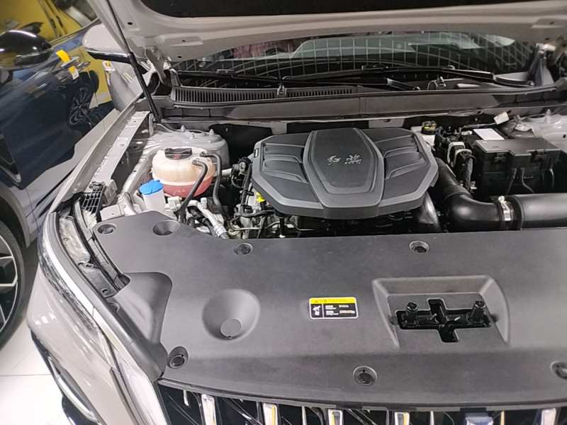 Used Hongqi HS5 2025 2.0T All-Wheel-Drive Flagship Pro Edition — 22
