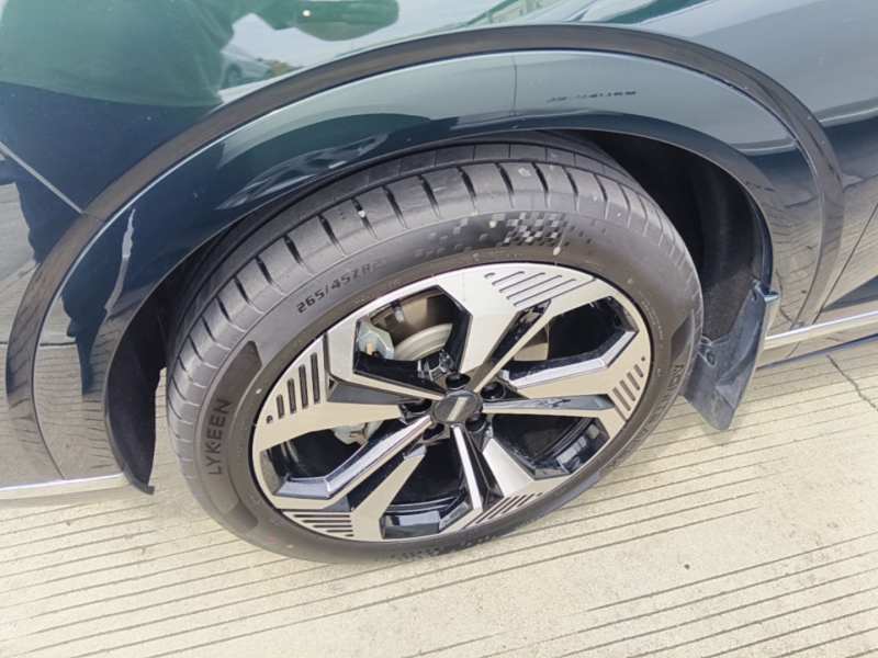 Used Wey Lanshan 2023 Four-Wheel Drive Ultra-Long Range Version — 22