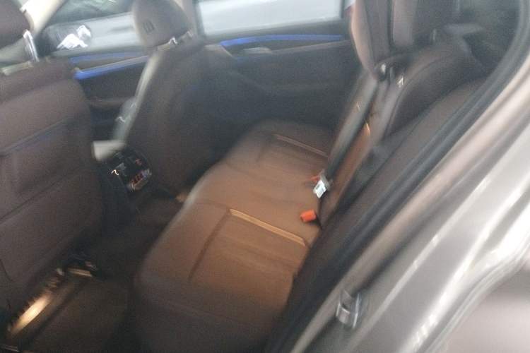 Used BMW 5 Series New Energy 2019 530Le Luxury Package Left Rear Seat
