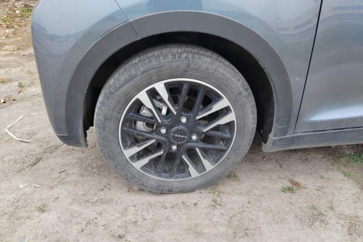 Used Chery Little Ant 2024 251km True Love Edition
