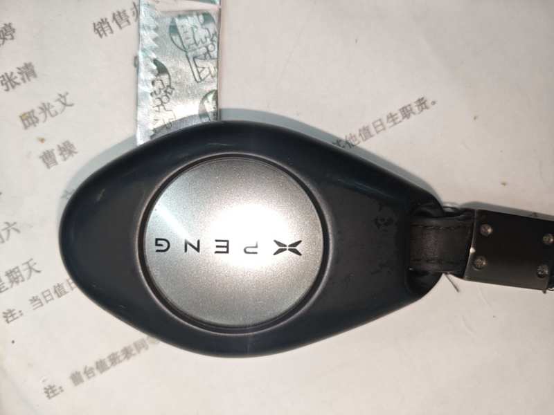 Used XPeng P7 2020 670E — 8