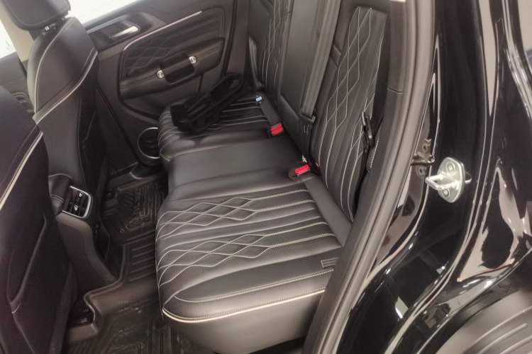 Used Tank 300 2021 2.0T Monet Tribute Limited Edition Left Rear Seat