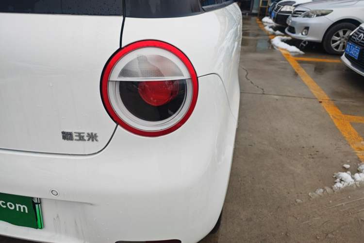 Used Qiyuan Lumin 2023 205km Xiangqin Version
