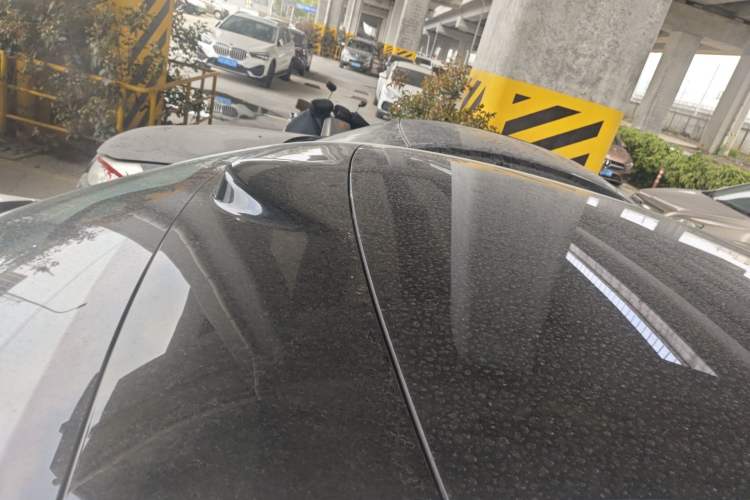 Used IM LS6 2023 Max Standard Edition
