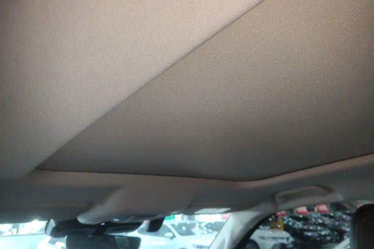 Used Haval DARGO 2024 2.0T DCT Chinese Rural Dog Edition
