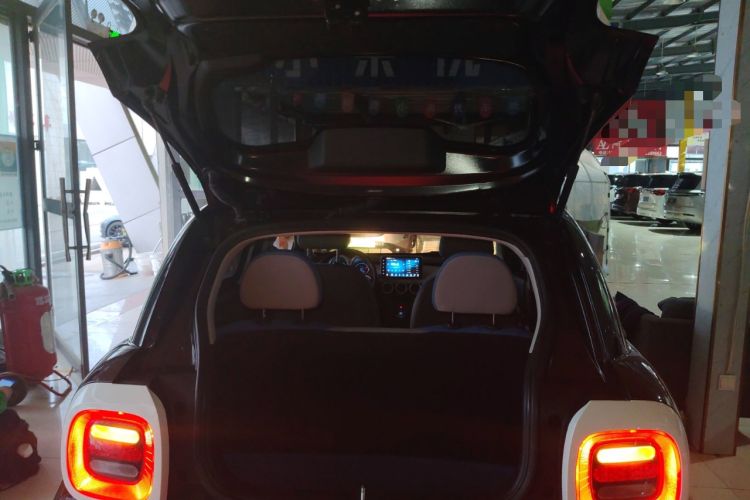 Used ORA Black Cat 2021 351 km Luxury Version
