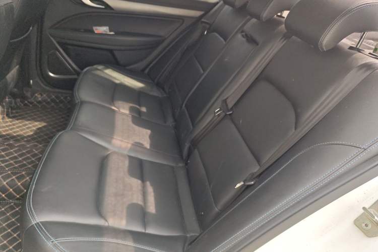 Used Geely Auto Emgrand New Energy 2018 EV450 Elite Model Left Rear Seat