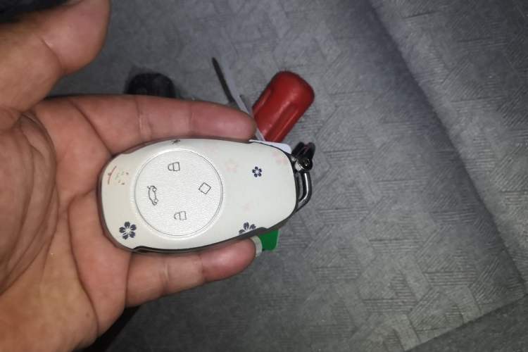 Used Leapmotor T03 2023 403 Lite Edition Vehicle Key