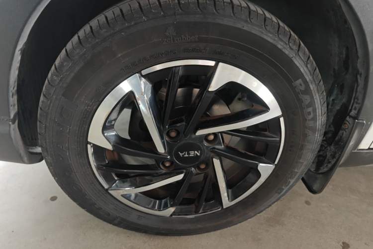 Used NETA V 2021 Long-Range Entertainment Edition Upgrade Model
