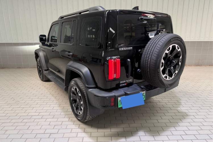 Used Tank 300 New Energy 2025 Hi4-T
