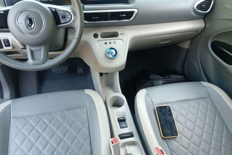 Used ORA White Cat 2020 401 km Long-Range Version