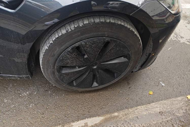 Used Tesla Model 3 2023 Rear-Wheel-Drive Version