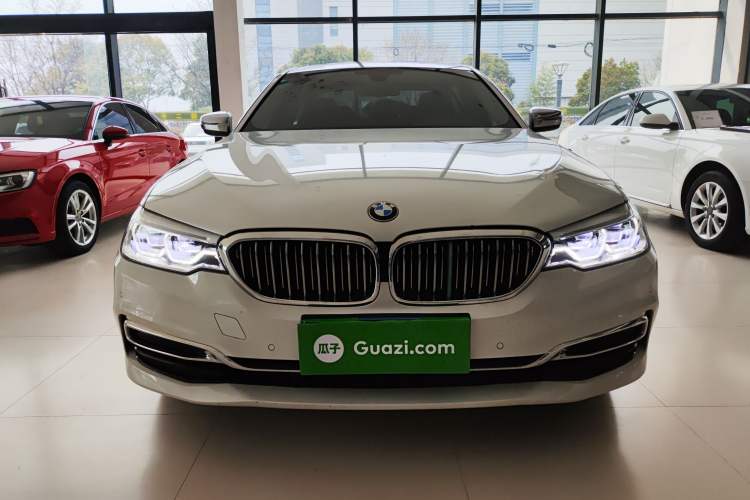 Used BMW 5 Series 2020 530Li Leading Edition Luxury Package