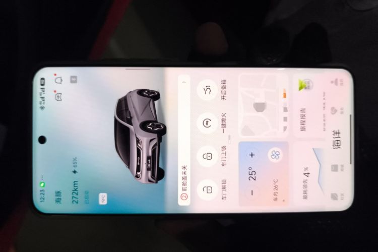 Used BYD Dolphin 2023 500 000th Anniversary Edition Pro
