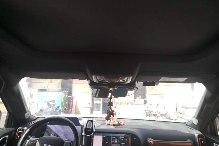 Used Haval DARGO 2021 2.0T DCT 4x4 Chinese Rural Dog Edition Headliner