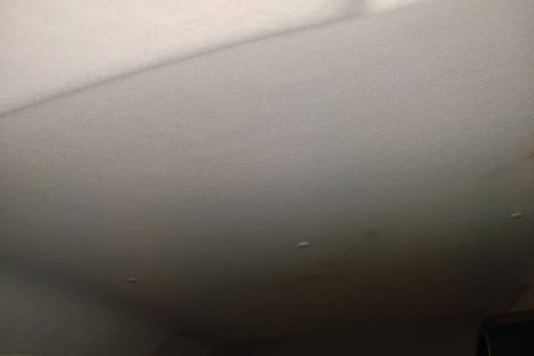 Used Oshan Benni E-Star 2022 National Edition Colorful Limited Edition (Fast-Charging Version) Lithium Iron Phosphate
