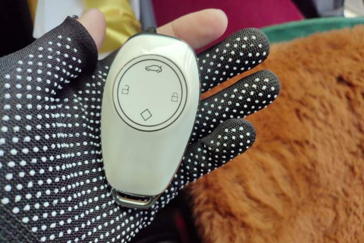 Used Leapmotor T03 2021 400 Lite Edition Lithium Iron Phosphate