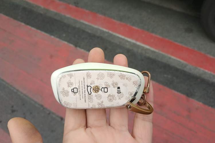 Used Haval X DOG 2022 1.5T DCT Four-Wheel Drive Trendy Wild Edition