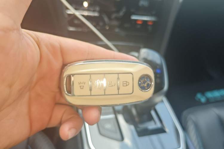 Used Venucia Venucia D60EV 2020 Standard Range Smart Drive Edition
