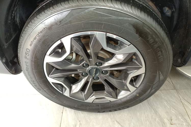 Used Haval DARGO 2021 2.0T DCT 4x4 Chinese Rural Dog Edition