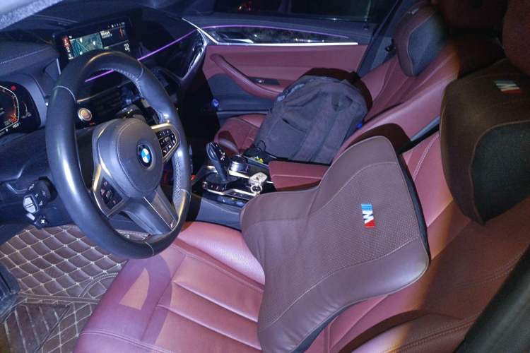 Used BMW 5 Series 2020 530Li Leading Model M Sport Package