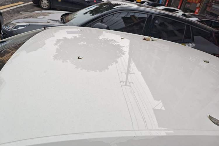 Used Skoda Octavia 2019 1.5L Automatic Comfort Edition
