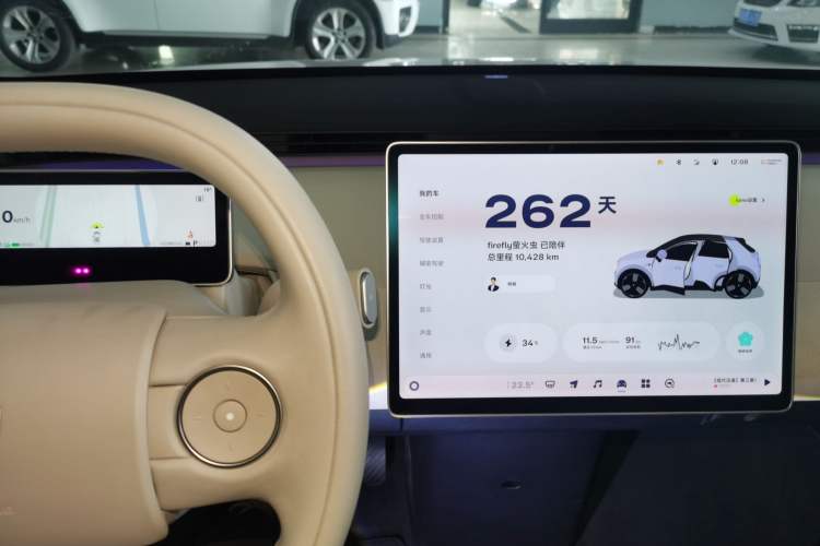 Used firefly 2025 Illuminated Edition
