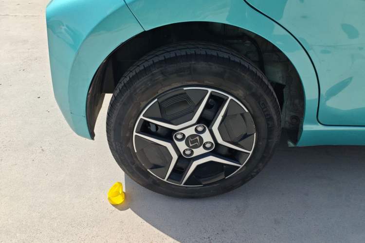 Used SOL E10X 2022 Flower Fairy Design Four-Leaf Clover
