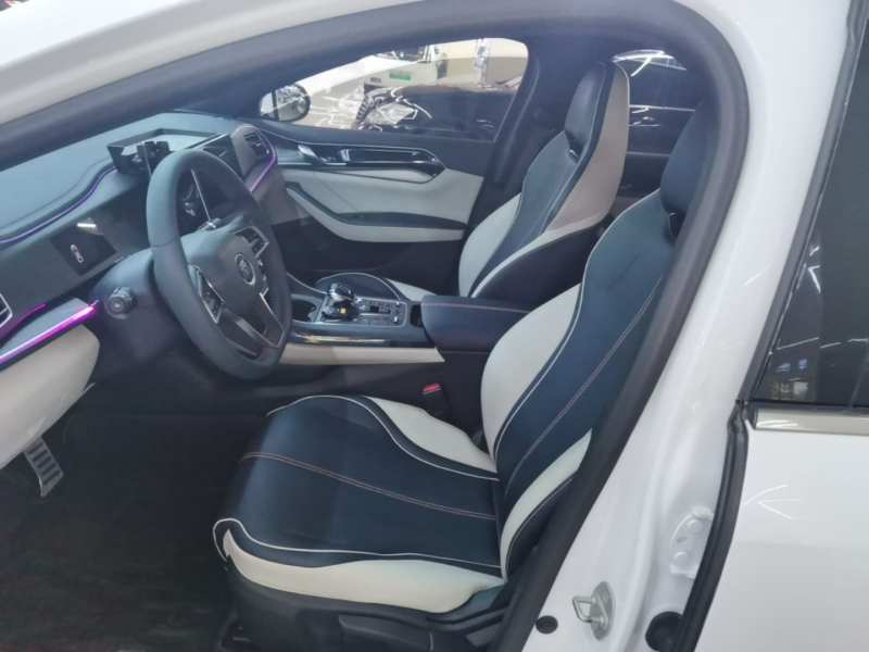 Used BYD Qin PLUS 2021 DM-i 120KM Prestige Model — 14