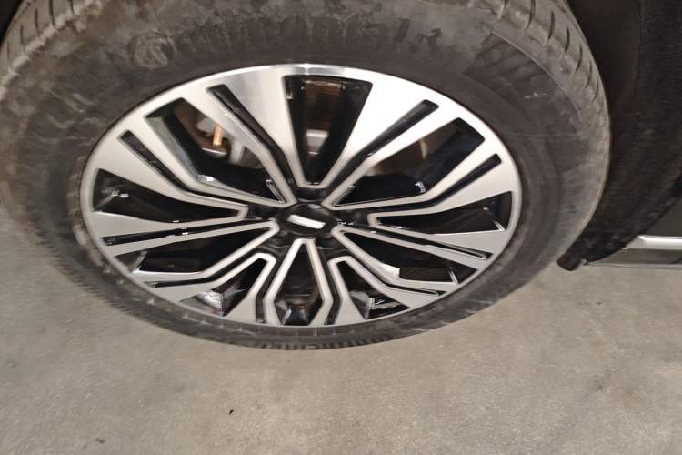 Used Wey Lanshan 2023 Four-Wheel Drive Ultra-Long Range Version Exterior 2