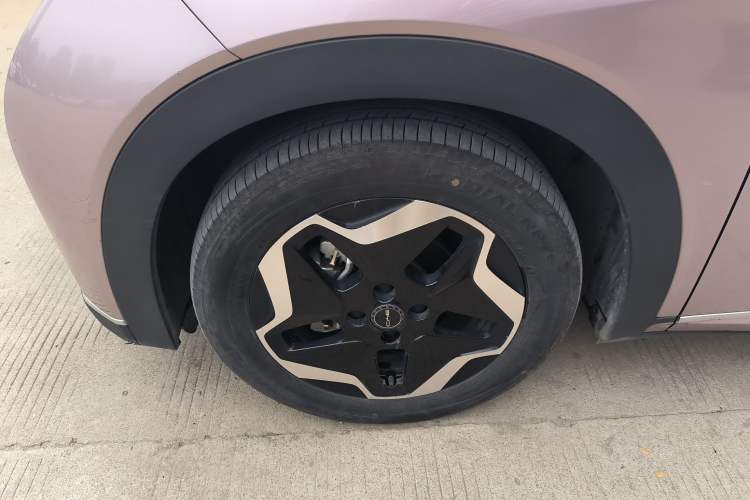 Used BYD Dolphin 2021 405 km Fashion Edition Left Front Wheel Hub