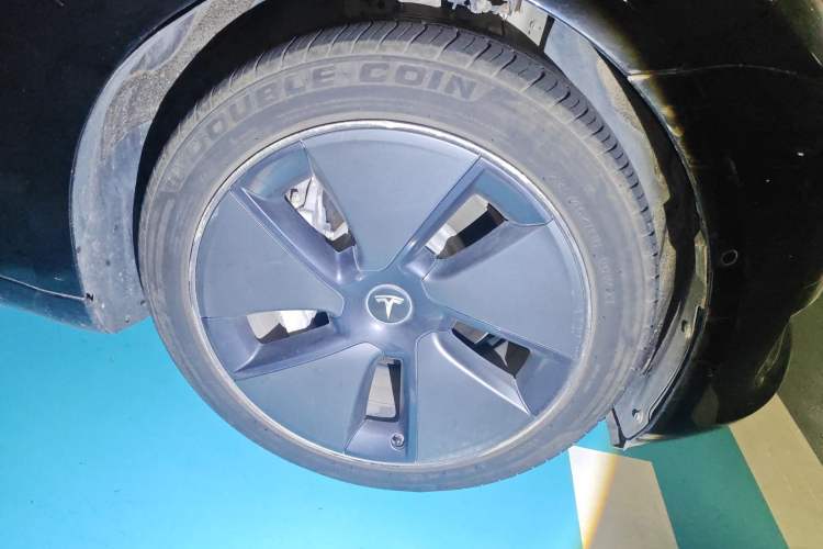 Used Tesla Model 3 2021 Revised Version Standard Range Rear-Wheel Drive Upgraded Edition 3D1