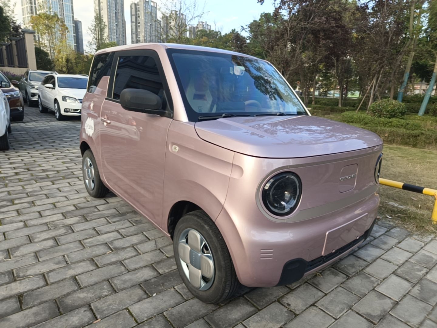 Geely Galaxy Panda 2023 Panda Mini 200km Endurance Bear — снимка 3