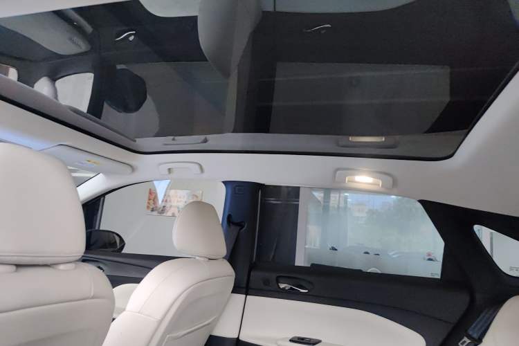 Used Venucia VX6 2023 520 Max Headliner