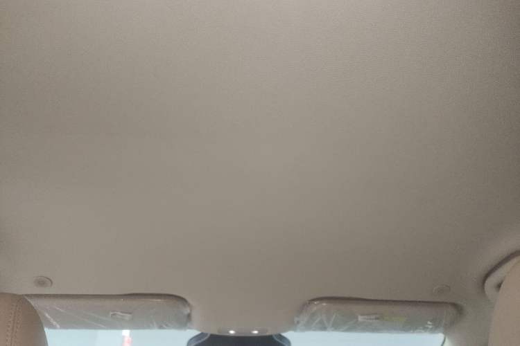 Used BYD Dolphin 2025 Smart Drive Version 420 km Freedom Edition Headliner