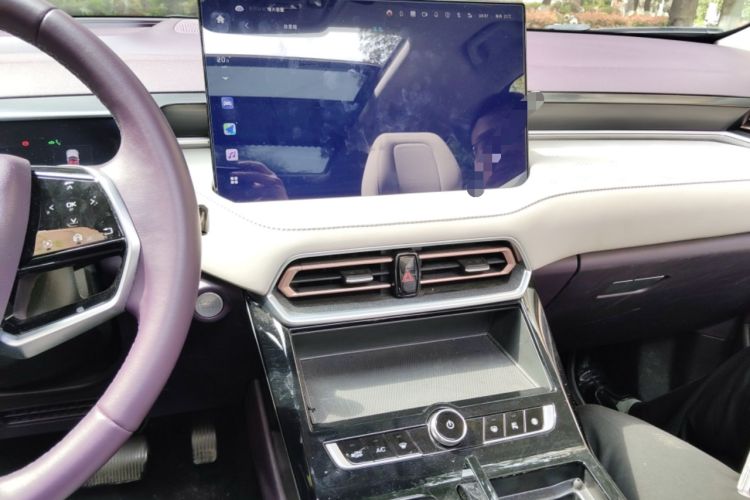 Used Wey Latte DHT-PHEV 2022 1.5T Two-Wheel Drive Big Cup
