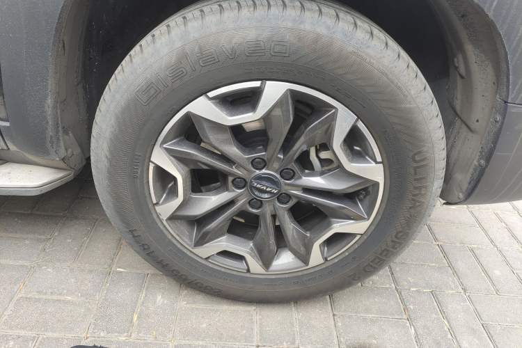 Used Haval DARGO 2021 2.0T DCT 4x4 Chinese Rural Dog Edition
