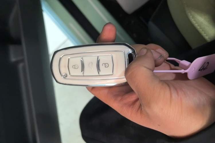 Used Geely Galaxy Panda 2024 Panda Mini 200km Dragon Edition
