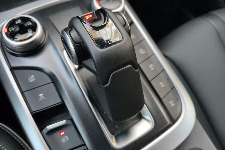 Used Tank 300 2024 2.0T Conqueror
