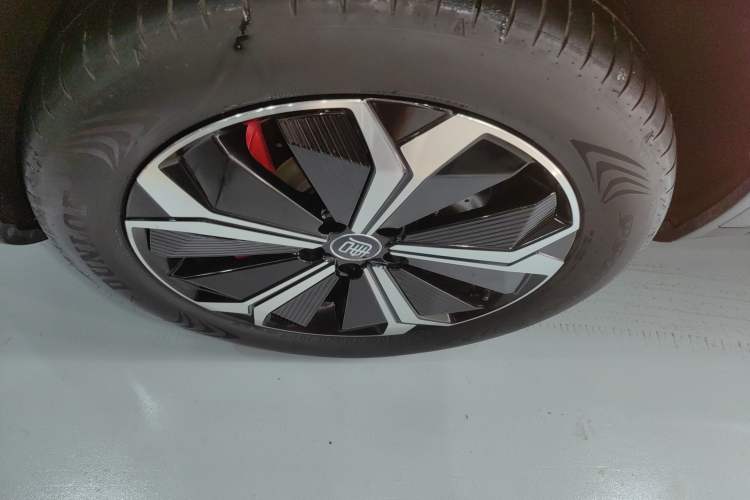 Used BYD Tang New Energy 2024 EV Champion Edition 600KM Deluxe Model
