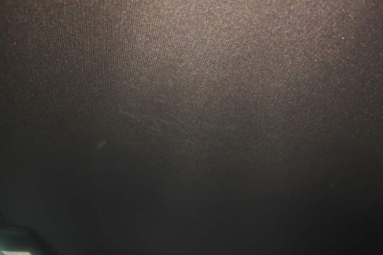 Used Ford Mustang 2020 2.3L EcoBoost Headliner