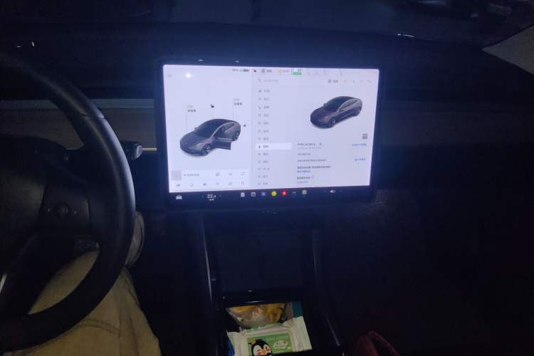 Used Tesla Model 3 2020 Long-Range Rear-Wheel-Drive Version