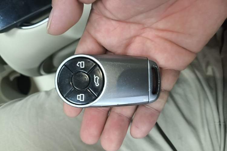 Used ORA Good Cat 2023 401 km Standard Range Premium Version Lithium Iron Phosphate
