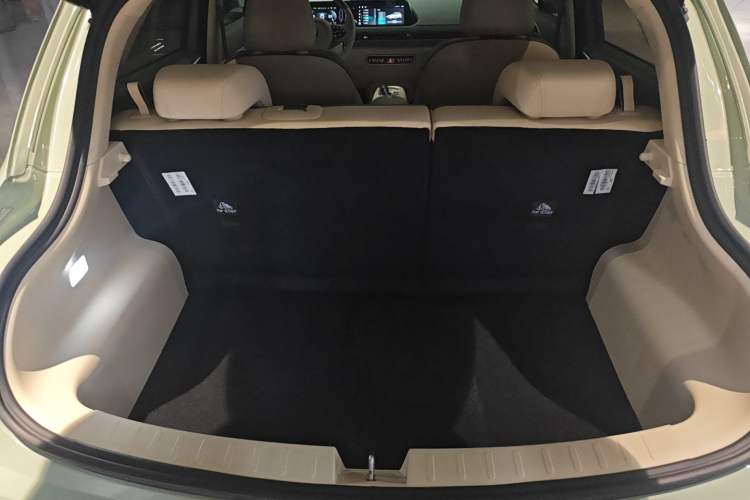 Used ORA Good Cat 2024 501 km Luxury Version Trunk